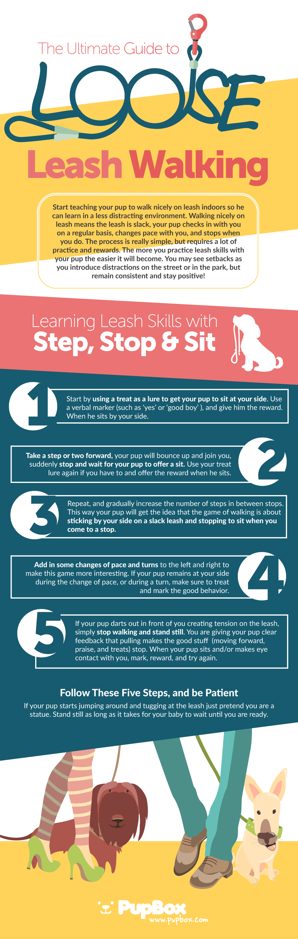 The Ultimate Guide to Loose Leash Walking