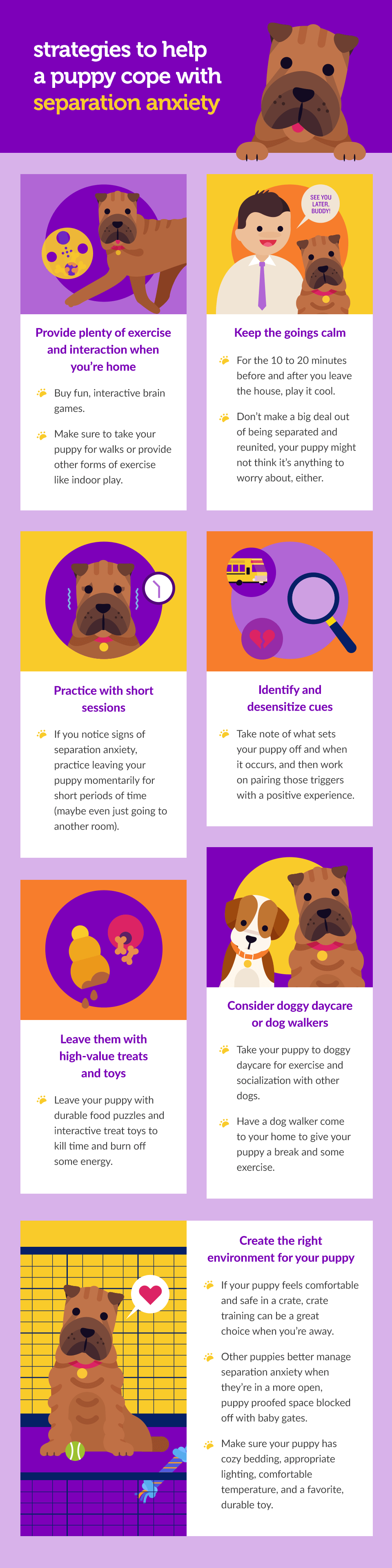 Soothe Your Puppy’s Separation Anxiety With These Strategies