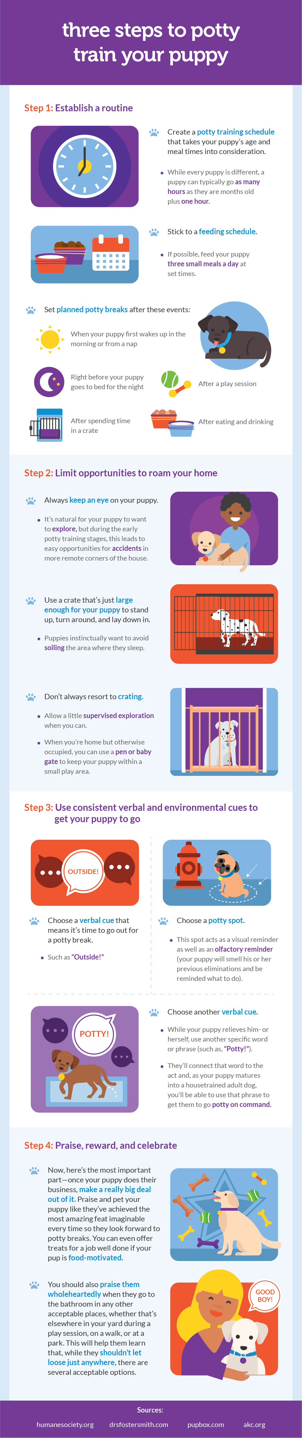 Potty Training Your Puppy Doesn’t Have to Be a Nightmare