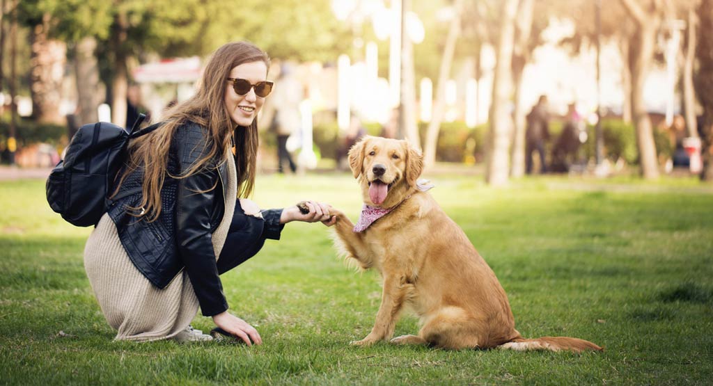 7 Easy Dog Tricks to Teach Your Puppy